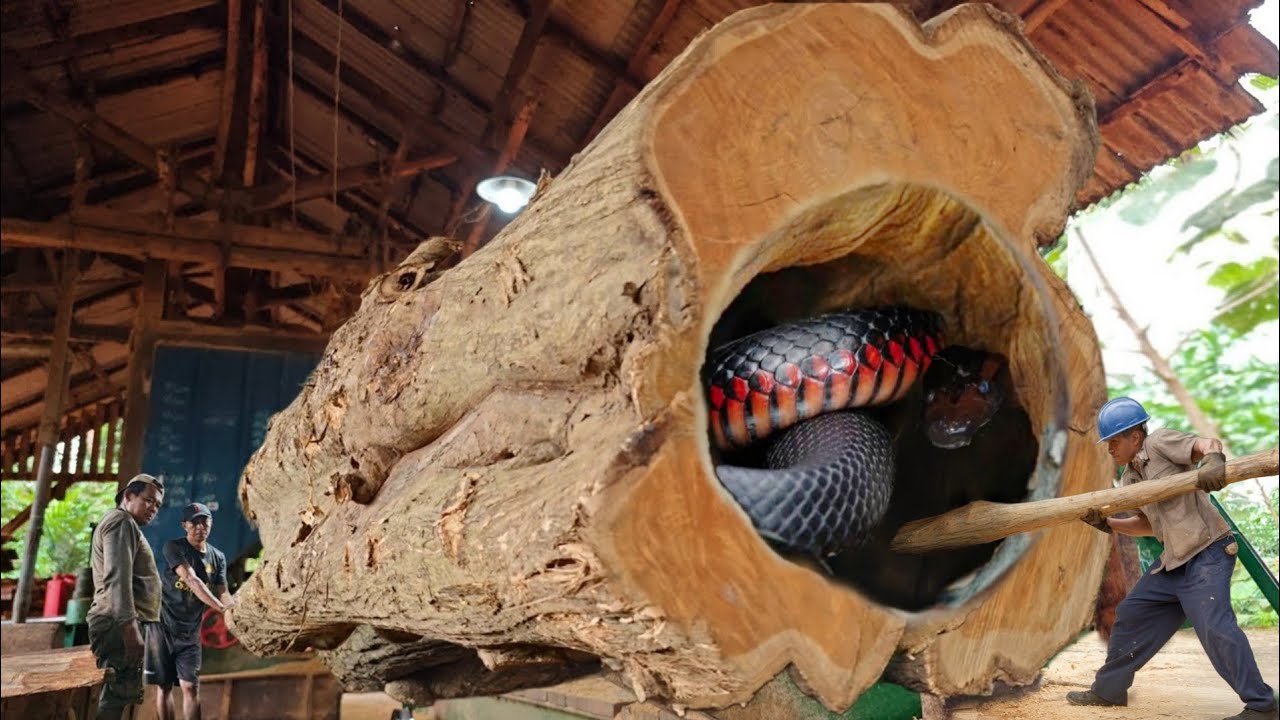 Greatest Human Being!! Dare to do this' when attack almost killed him in the middle of a sawmill
