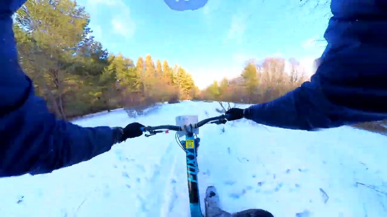 Lale Winter Session 2024