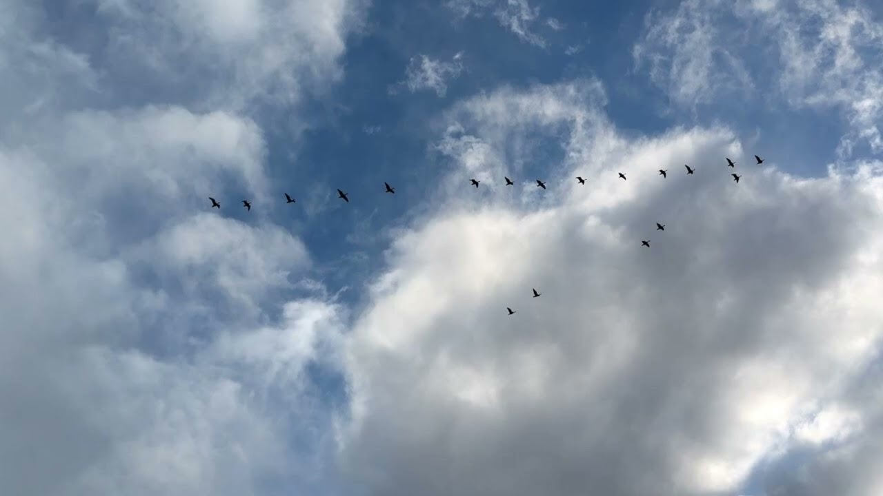 Oi2024 🖐️