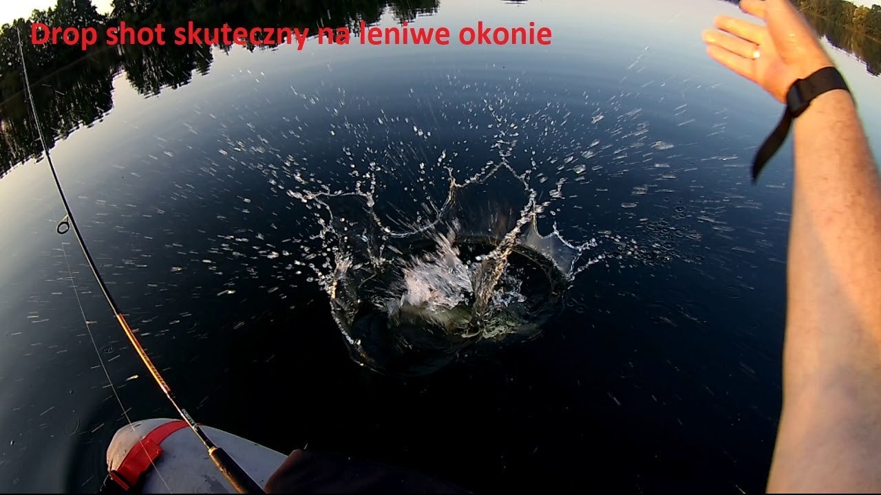 Drop shot skuteczny na leniwe okonie