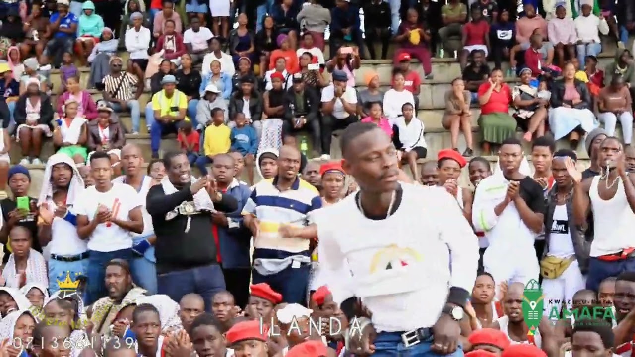 Ilanda imhlophe inyoni livale inkundla, amathole amnyama
