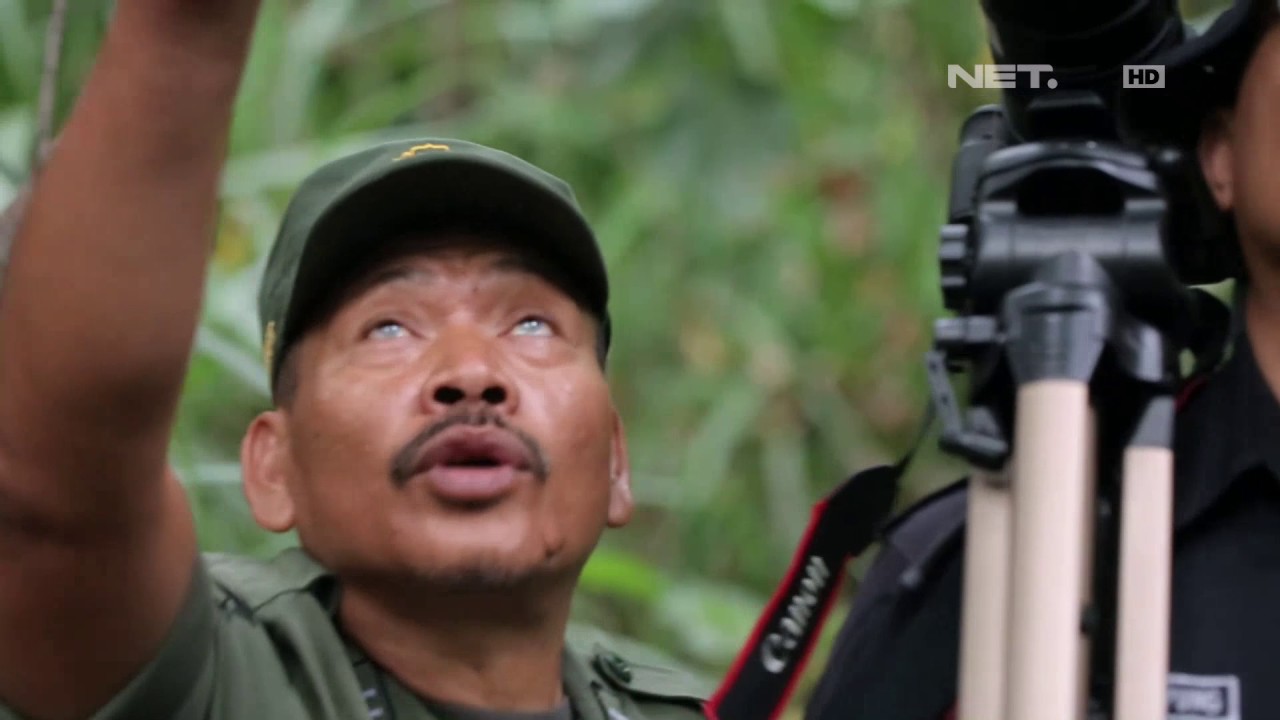 Pesona Alam Anak Gunung Krakatau - Indonesia Bagus