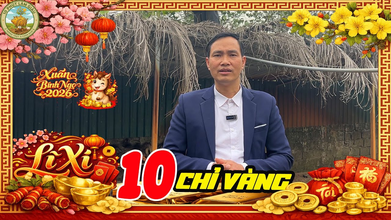 10 CHỈ VÀNG LÌ XÌ ĐẦU NĂM 2026 | MÔ HÌNH CHĂN NUÔI ĐƯỢC BÀ CON QUAN TÂM NHẤT |10 PHÚT LÀM GIÀU