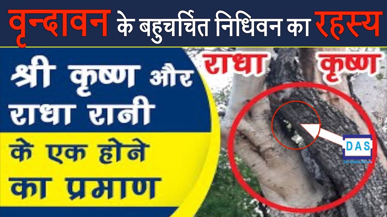 The secret of Vrindavan Nidhivan. Mystery of Nidhivan Vrindavan
