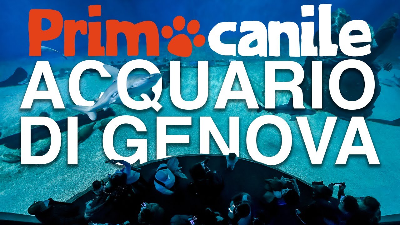 Primocanile all’Acquario di Genova: tra squali, pinguini, cacatua e non solo