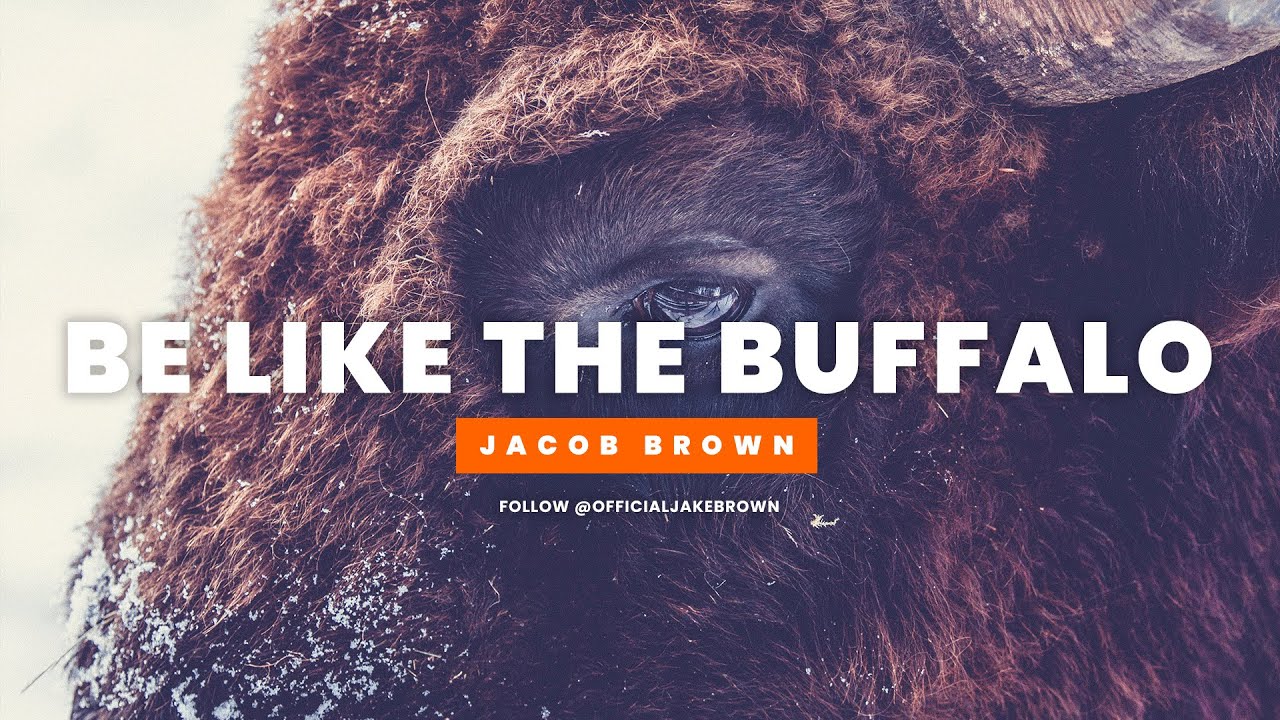 Jacob Brown | Be Like The Buffalo (Motivational Speech)