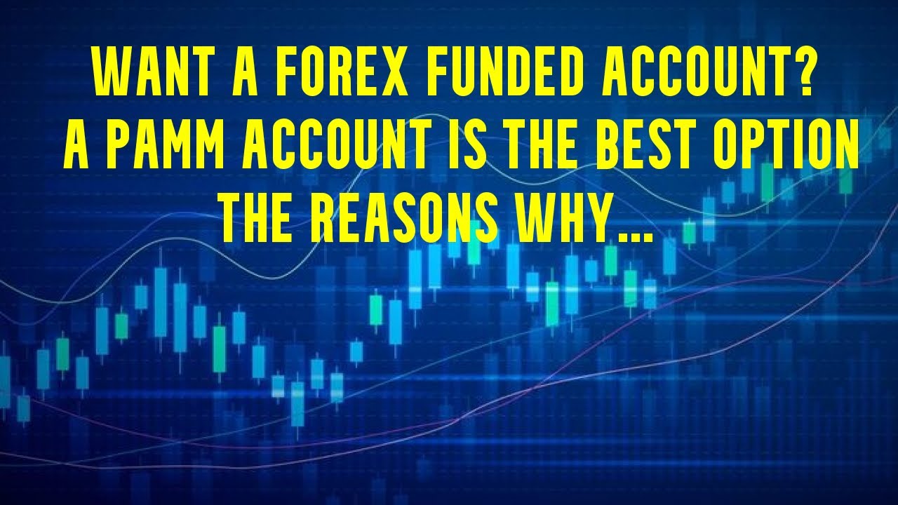 Best Forex Funded Account Review Use a PAMM Account Instead
