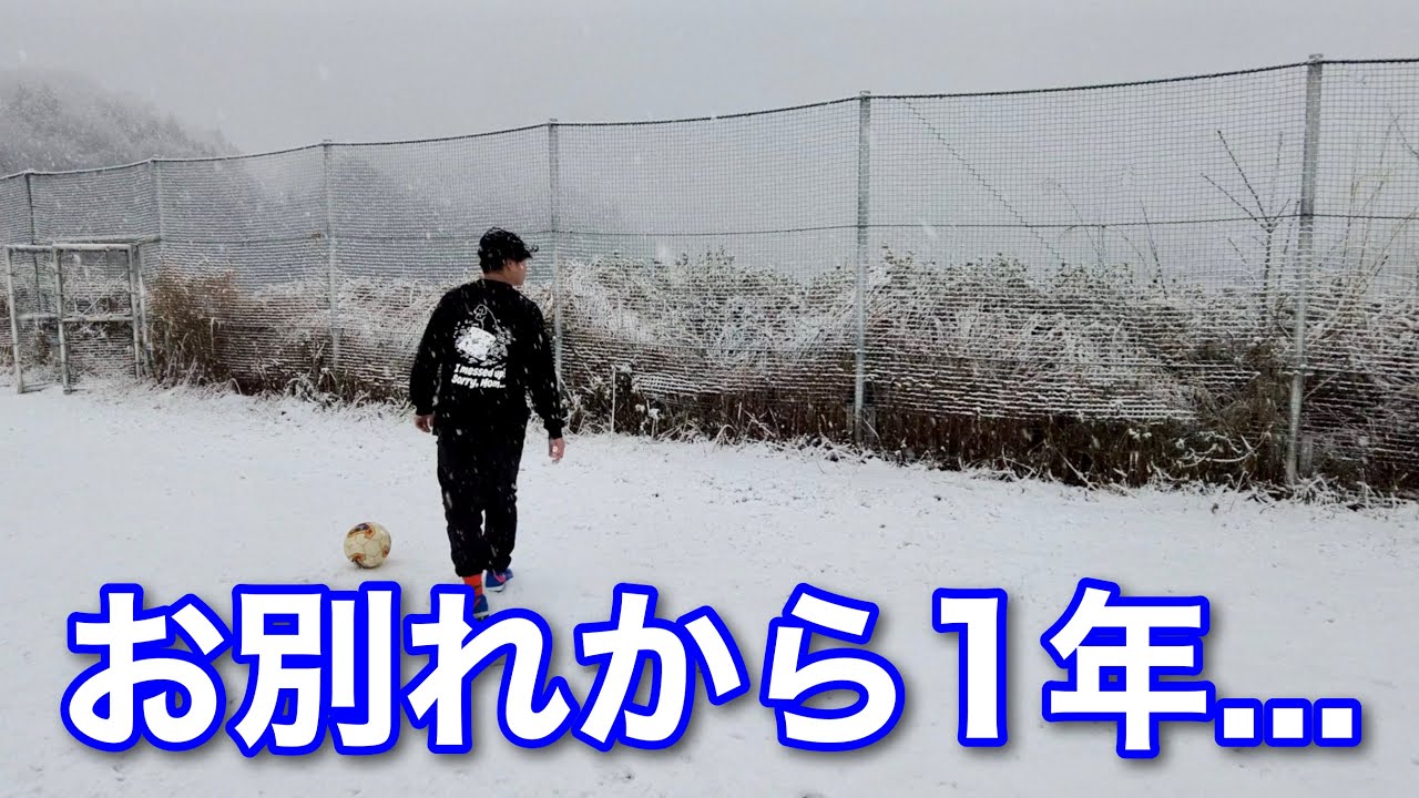 命日にメイプルの大好きだった雪が...！メイプルがいない冬、一回忌の１日。
