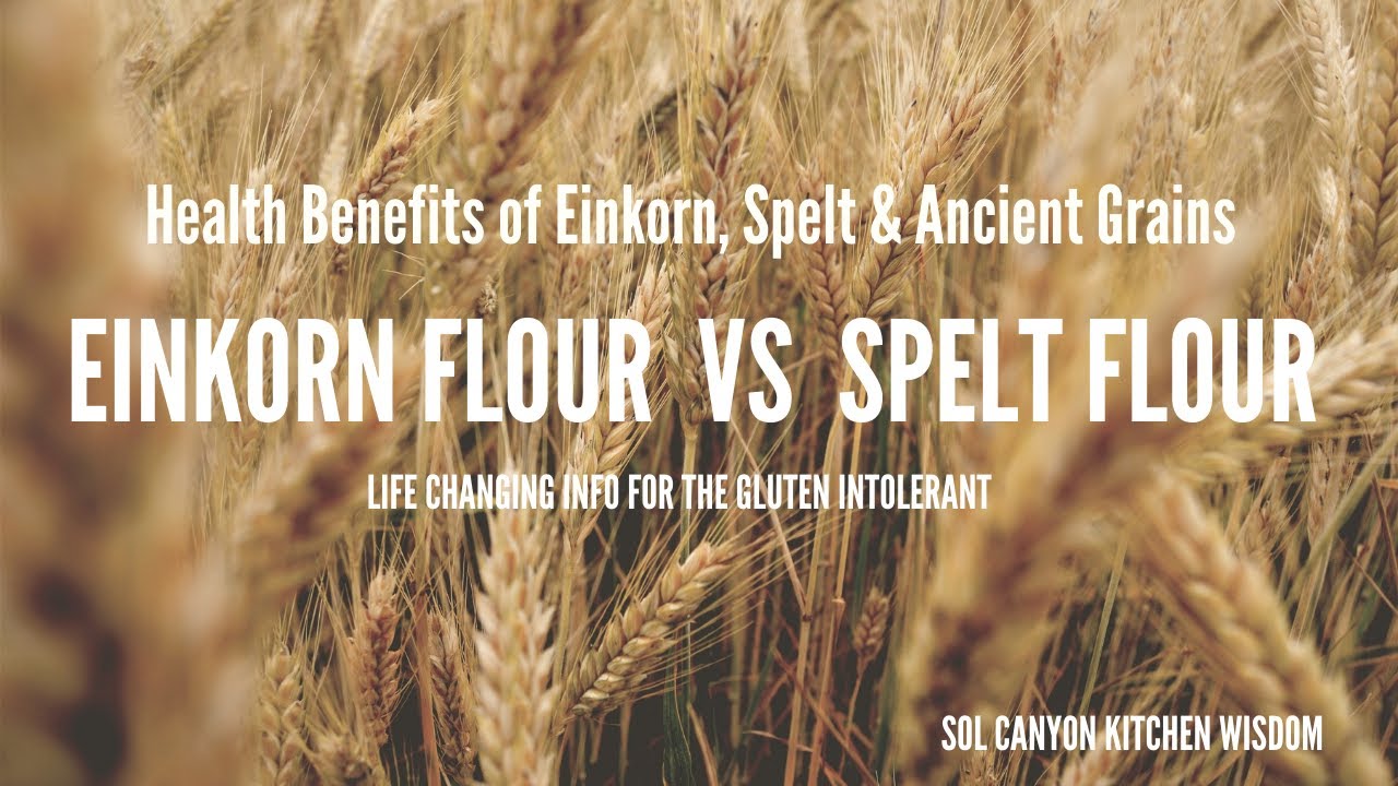 What is Einkorn Flour? | Einkorn Flour vs. Spelt Flour | Health Benefits of Ancient Grain Flours