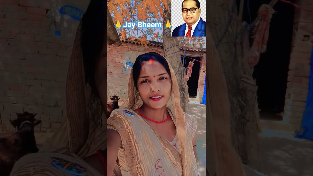 Kare  ke baton kara Bheem charcha/Jatav/Baba Saheb/Chamar/#jaibhim​ #brambedkar​ #bhimarmy​#stetus​