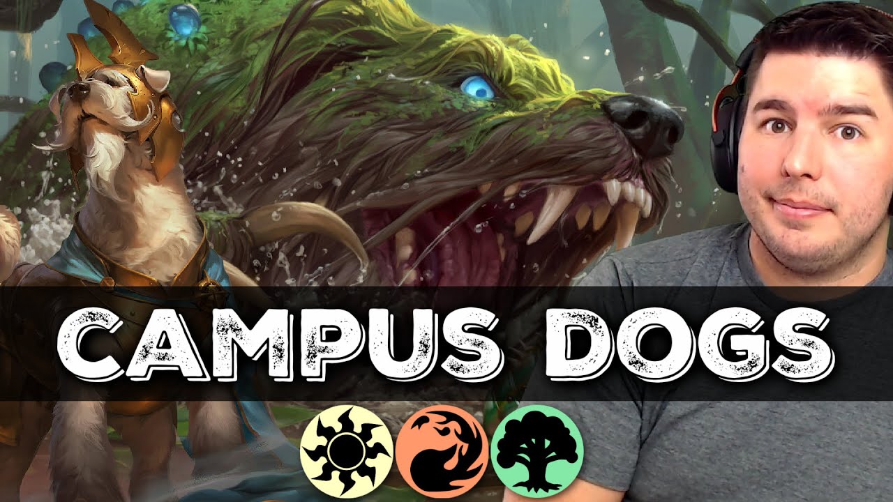 80% WINRATE WITH DOG TRIBAL IN STRIXHAVEN STANDARD | MTG ARENA