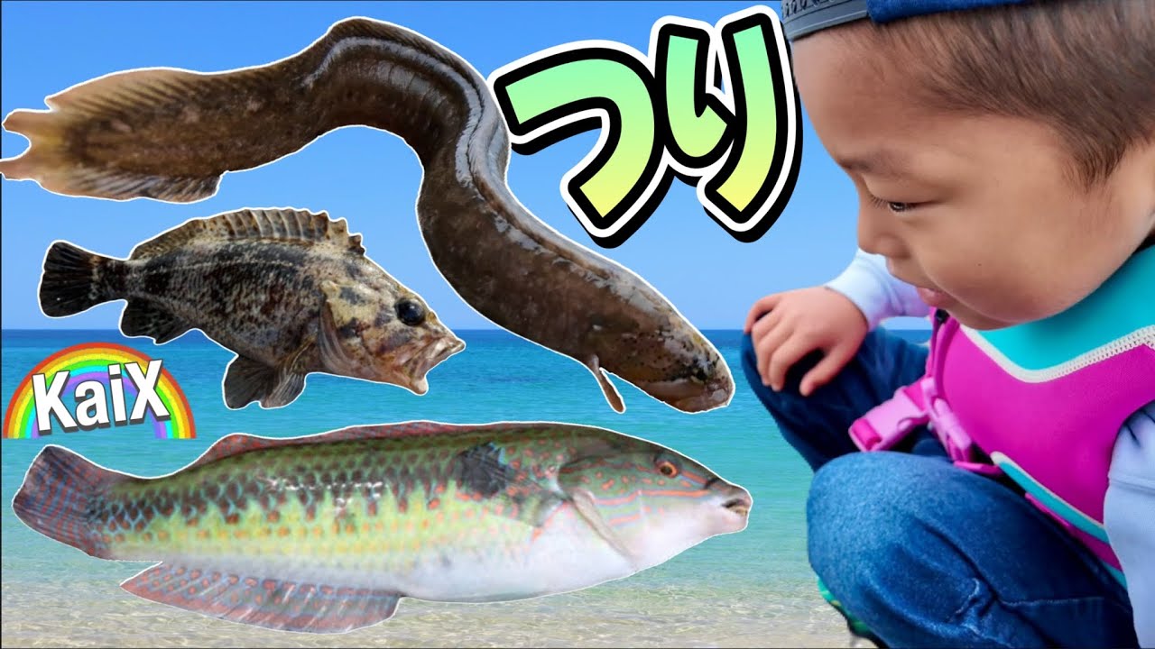 【魚釣り】はじめてのつりは興奮でいっぱい♪メバル・アイナメ・ベラに会えた！ギンポが大暴れ！？