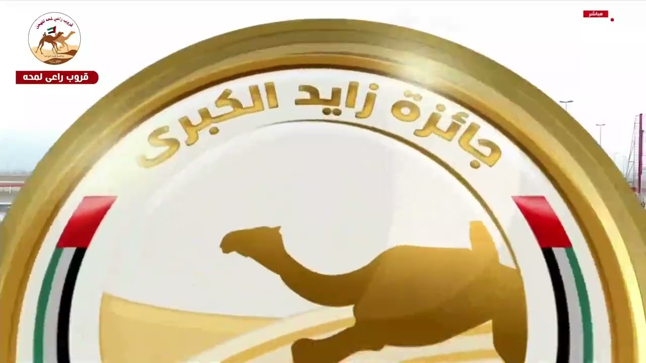 الشوط 1 ( بندقية قعدان مفتوح )مستحيل لـ محمد عتيق بن زيتون المهيري 8:58:09( جائزة زايد الكبرى 2025 )