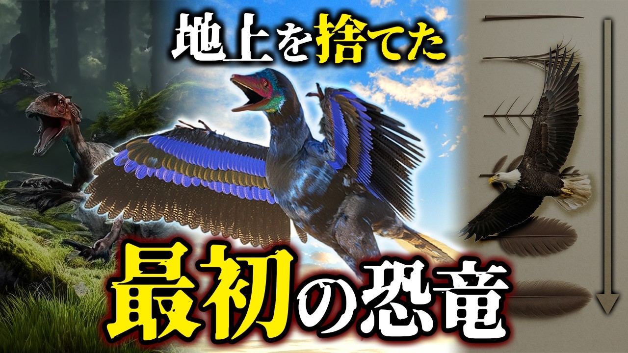 【ゆっくり解説】地上を捨てた恐竜たち｜鳥への進化とその理由とは？