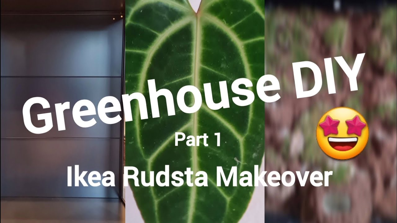 DIY ⚒️| Anthurium Terrarium IKEA 'Rudsta' Makeover 🌱 | Part 1 