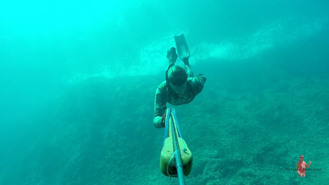 PESCA SUB 