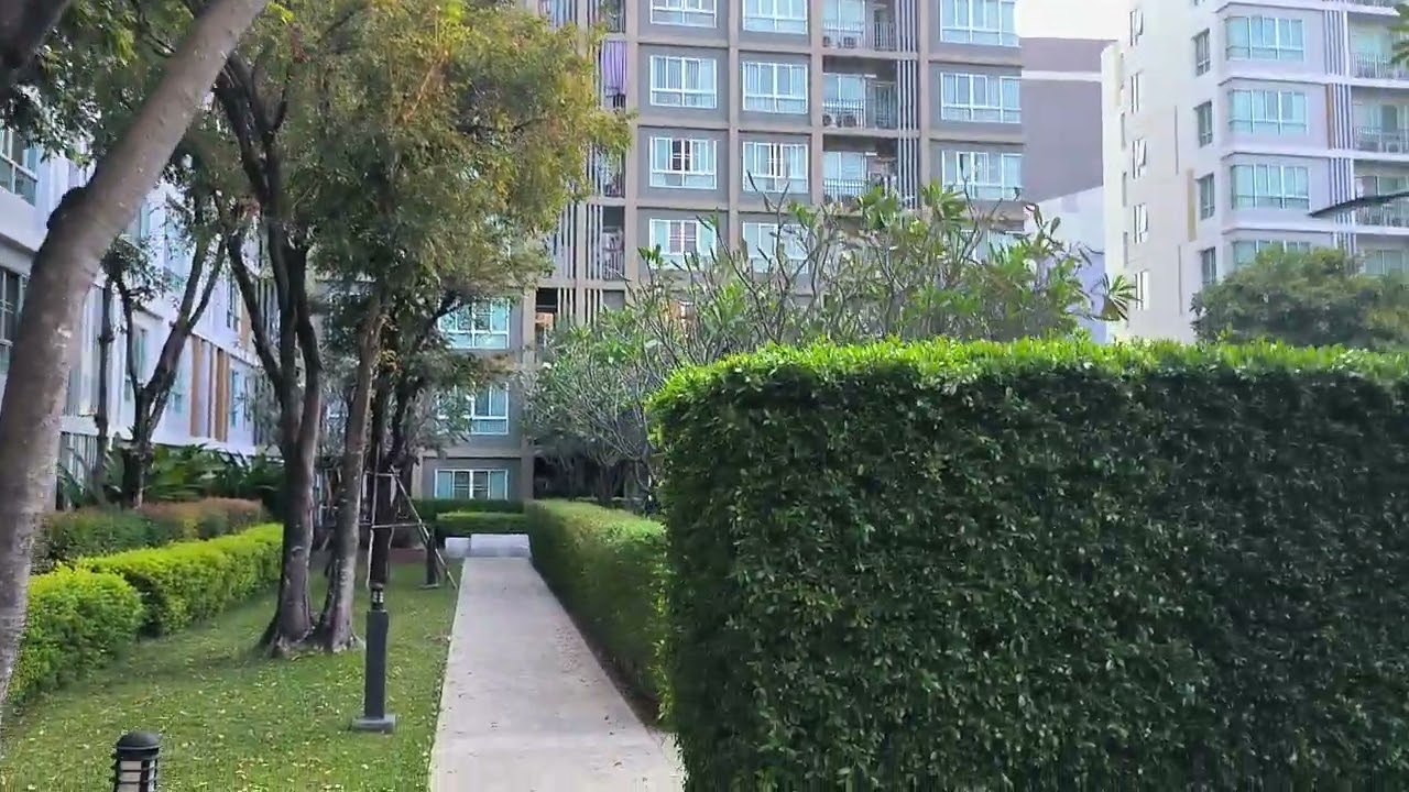 dcondo Sign內 園子整得蠻可以的高低錯落有致