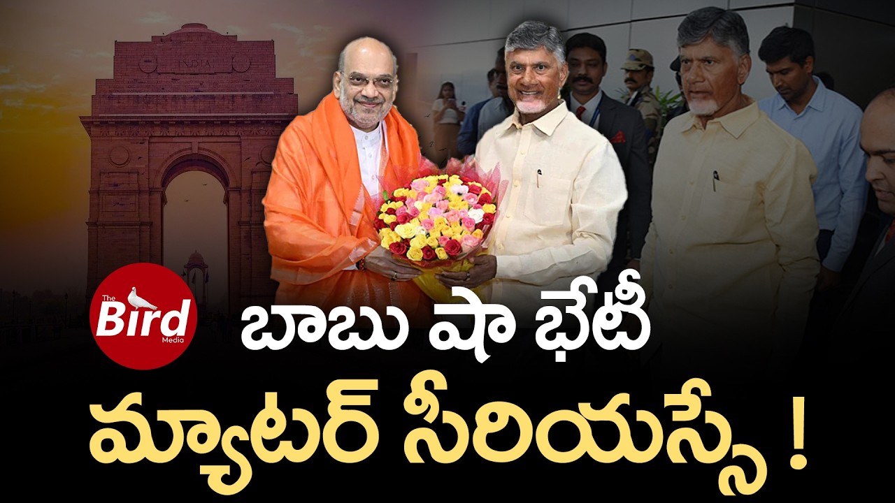బాబు షా భేటీ.. మ్యాటర్ సీరియస్సే ! | CM Chandrababu And AmitShah Serious Meeting | Bird Media |