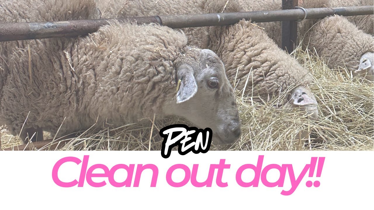 Pen clean out!