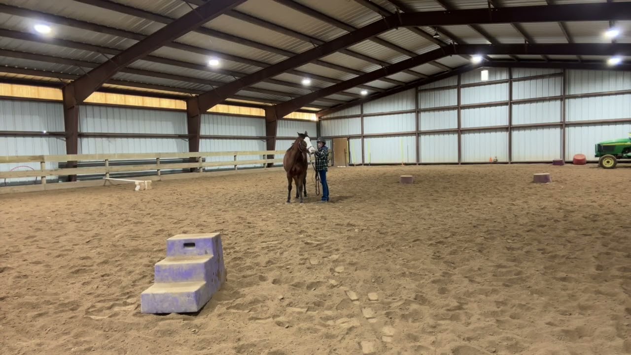 Strike walk/trot with bareback pad part 1