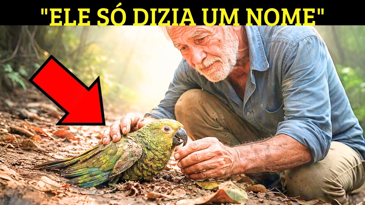 **PAPAGAIO ABANDONADO REPETIA UM NOME — O IDOSO FEZ O IMPOSSÍVEL PARA DESCOBRIR O MOTIVO**