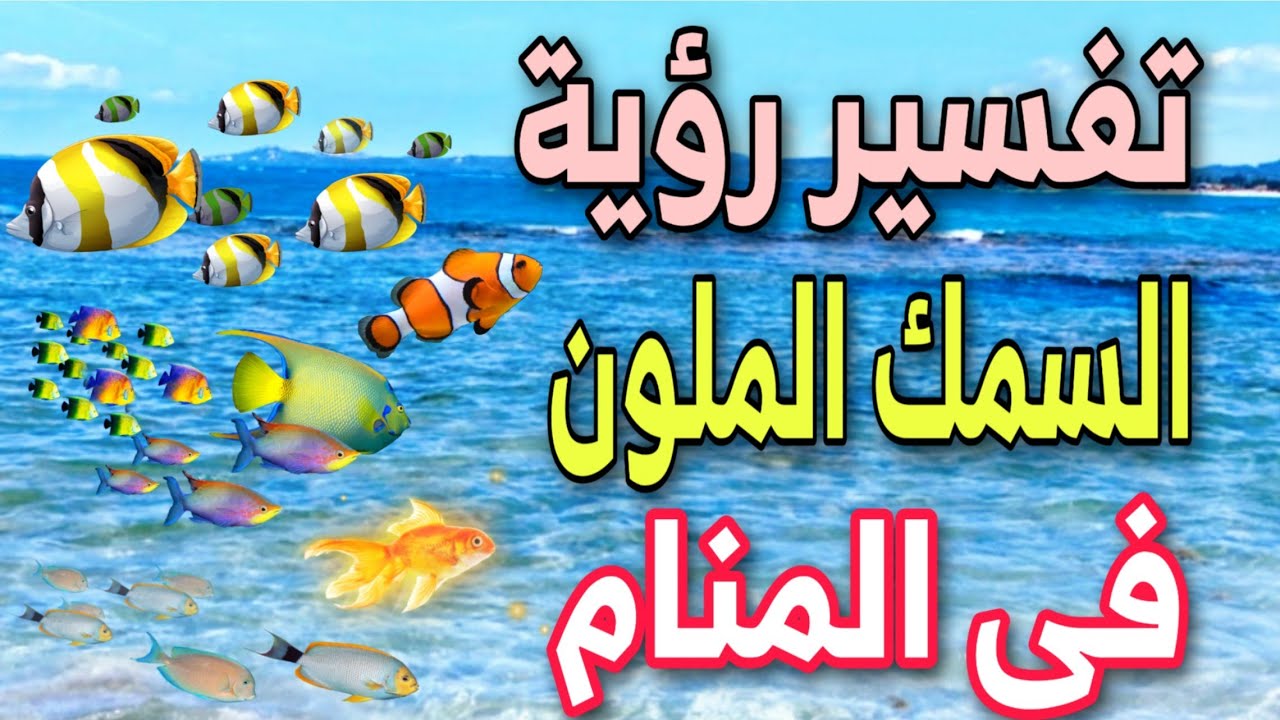 تفسير رؤية السمك الملون فى المنام لابن سيرين