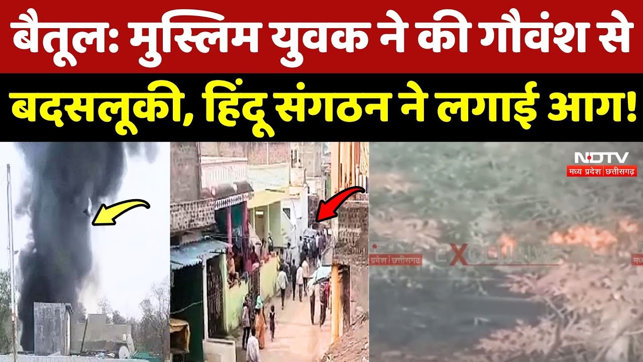 Betul Violence: Muslim युवक ने की गौवंश से बदसलूकी, Hindu Sangathan ने दुकान में लगाई आग! MP News