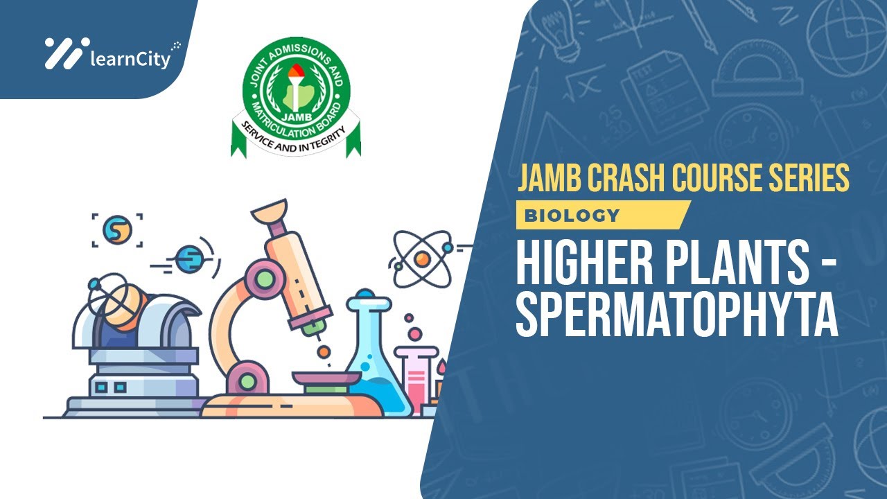 HIGHER PLANTS - SPERMATOPHYTE  || BIOLOGY WAEC PAST QUESTIONS + ANSWERS