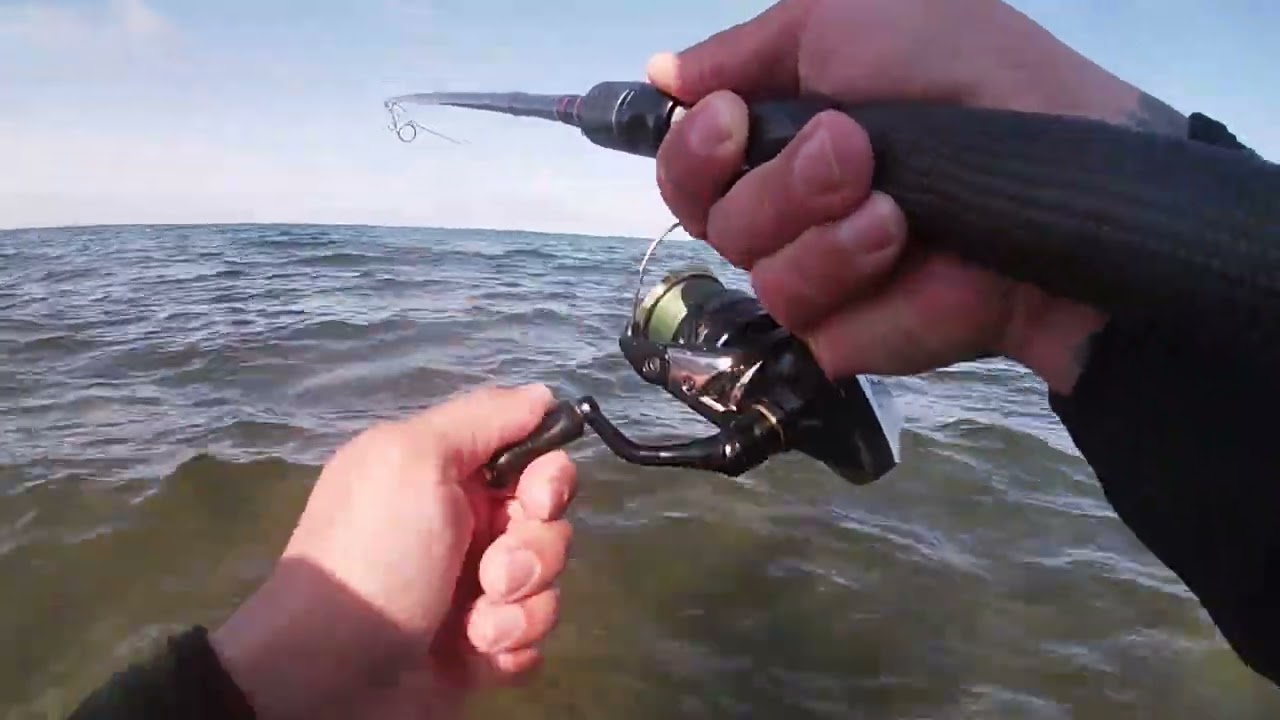 Havbars på æbelø kunne ikke stå for slinky trout