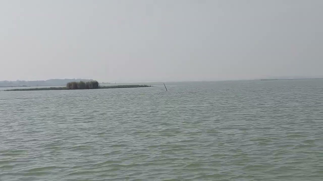 Odisha Chilika Lake boat ride