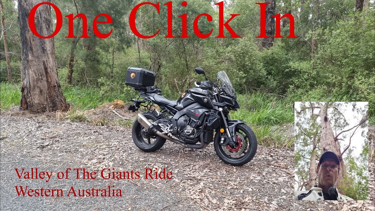 Valley of The Giants Ride Nov 2021