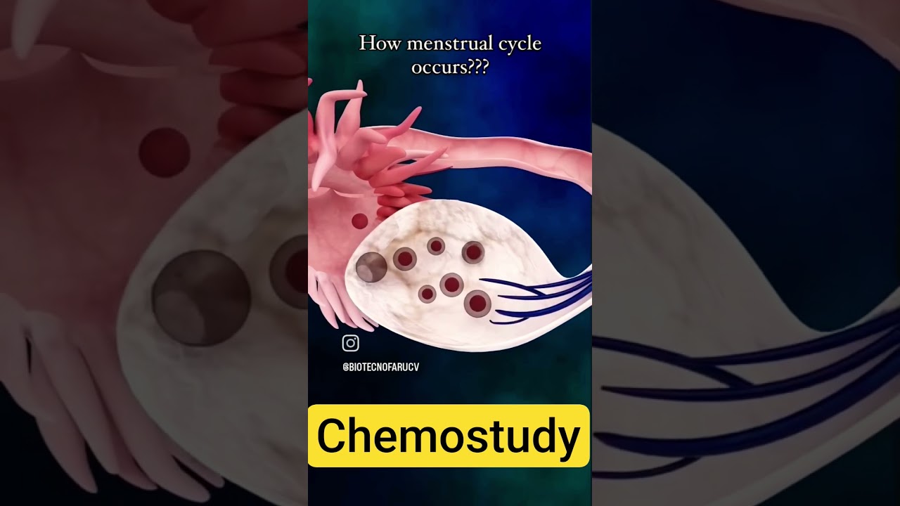 Biology with animation #biology #menstrualcycle #health #universe