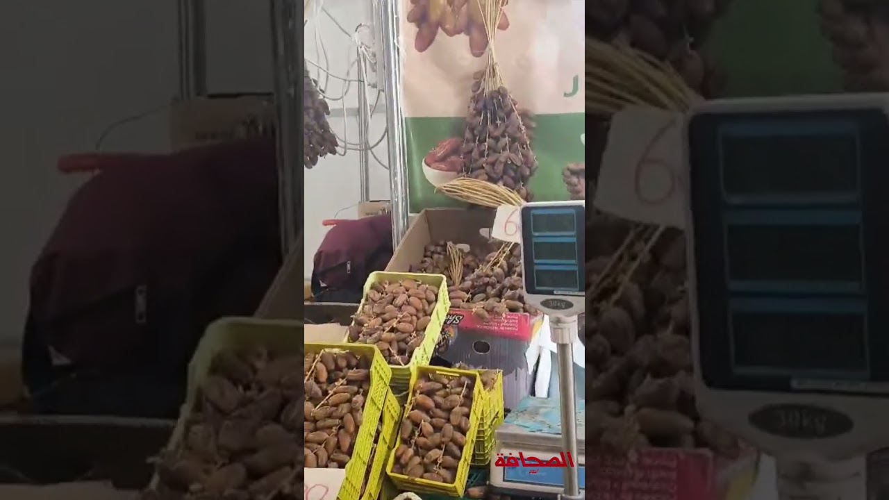 قدم نابل لزوارها فرصة فريدة لتذوق التمور الأصيلة...