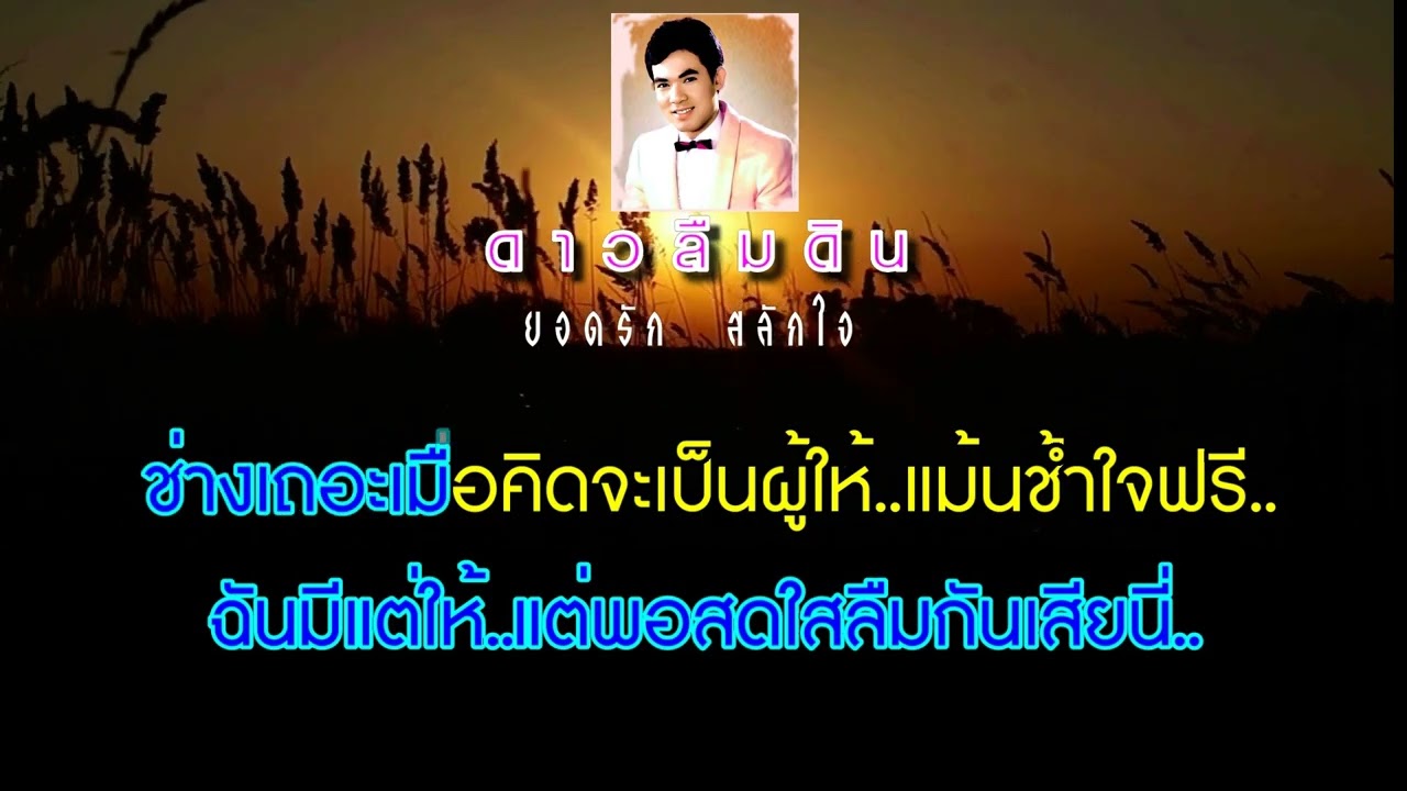ดาวลืมดิน : ยอดรัก  สลักใจ [ มีเสียงขับร้องเพลง Cover กับซาวด์ดนตรี ]