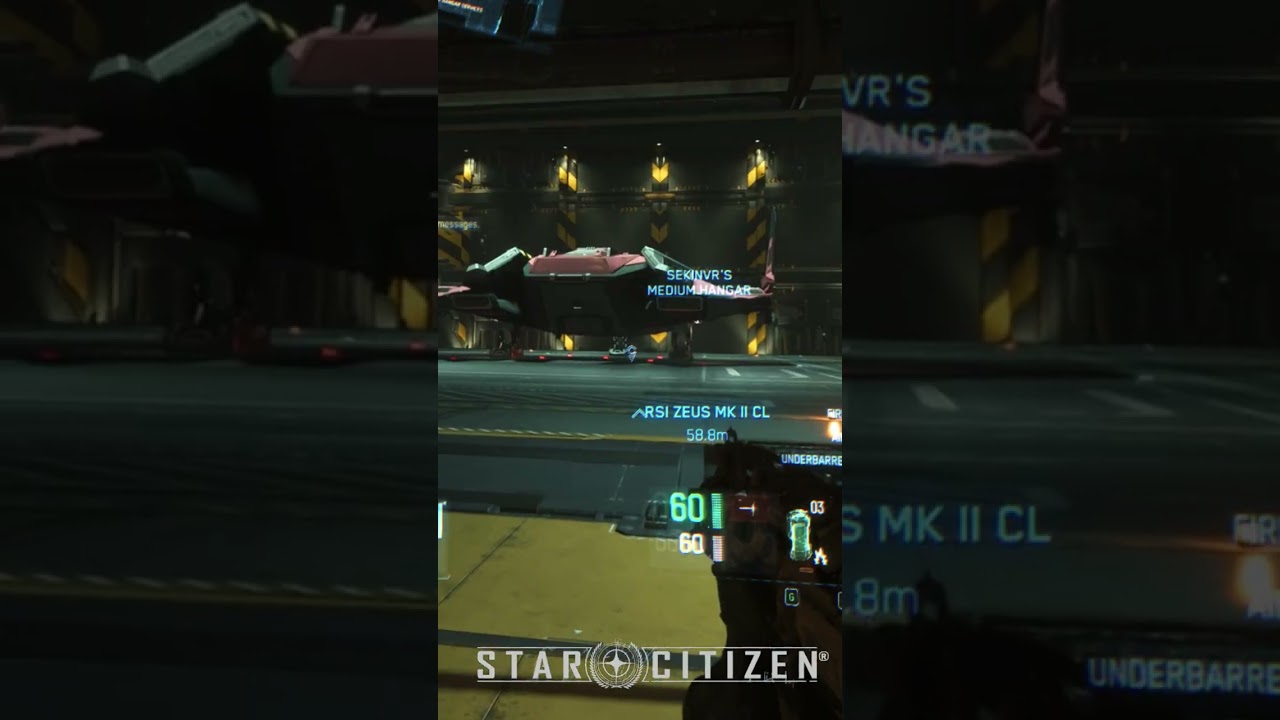 #starcitizen