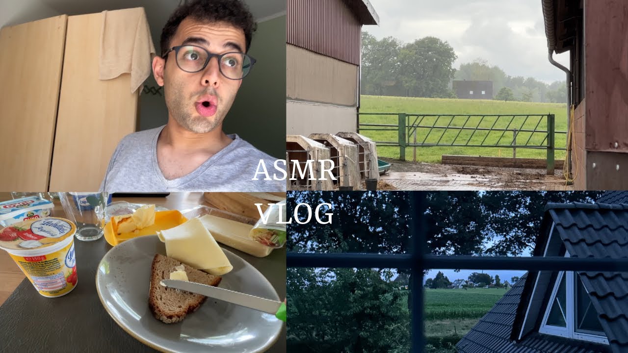 ALMANYA’DA 1 GÜN UYUTAN SESSİZ VLOG 8D VLOG ASMR TÜRKÇE | Türkçe ASMR