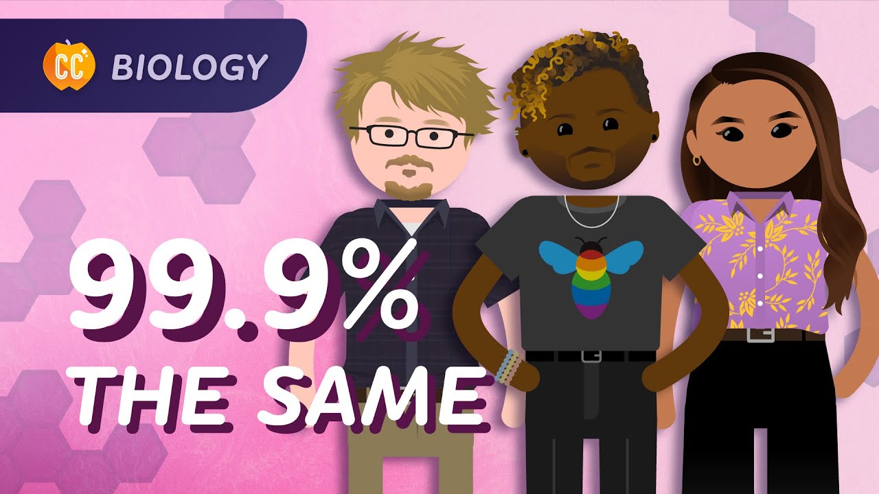 Population Genetics: Why do we have different skin colors?: Crash Course Biology #14