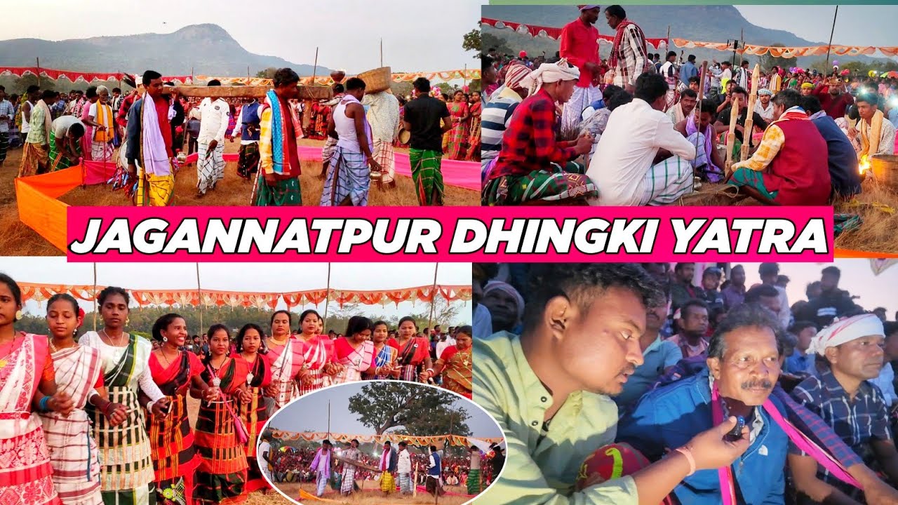 Jagannatpur Dhingki Jatra 2026 | Jagannatpur Dhingki Pata | Jagannatpur Prize Jom | @simaltudu 