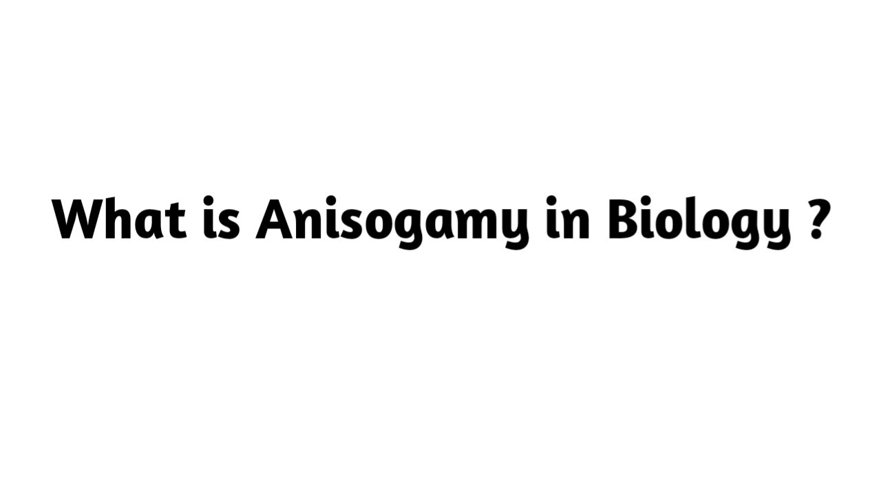 What is Anisogamy in Biology ?