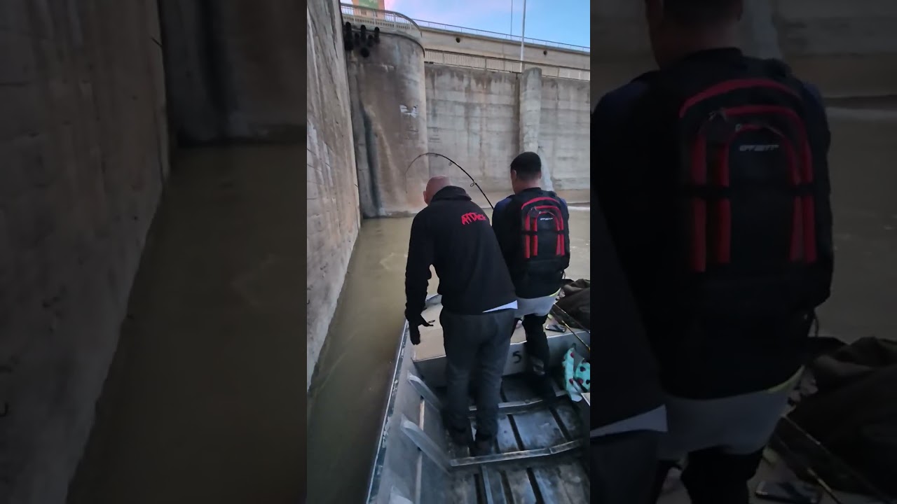 Ebro dream fishing whit For Max & Milan Panic,somče!