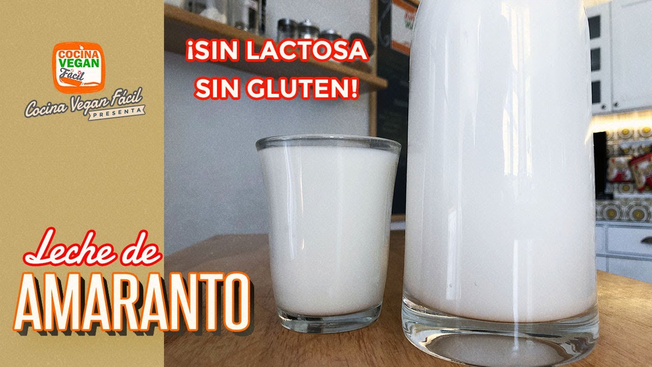 Leche de Amaranto o Kiwicha (sin lactosa, sin gluten) - Cocina Vegan Fácil