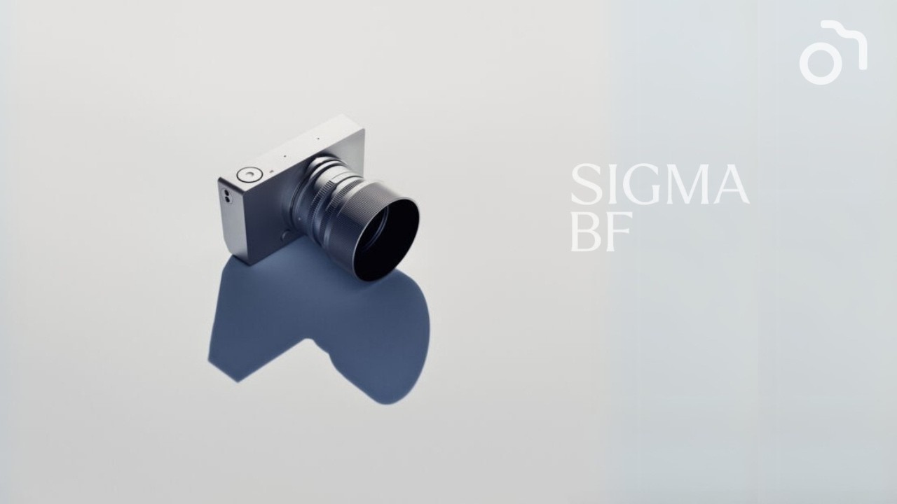 Sigma BF - Piękne Szaleństwo - 3 niezależne opinie po testach