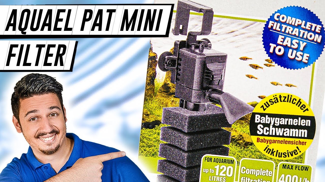 AQUAEL PAT MINI TEST | Ein günstiger Filter mit viel Leistung? (review)