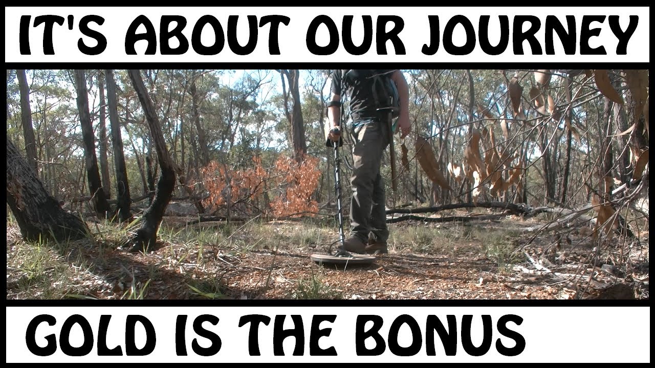 ⛏ LOOKING FOR GOLD NUGGETS USING MINELAB GPX 4500 COILTEK ELITE MONO VICTORIA AUSTRALIA ⚖️