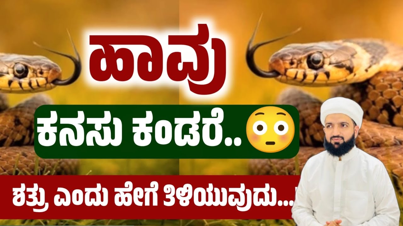 ಹಾವು ಕನಸು ಕಂಡರೆ ವ್ಯಖ್ಯಾನವೇನು? What does it mean if you dream of a snake?Irshad Sa-adi