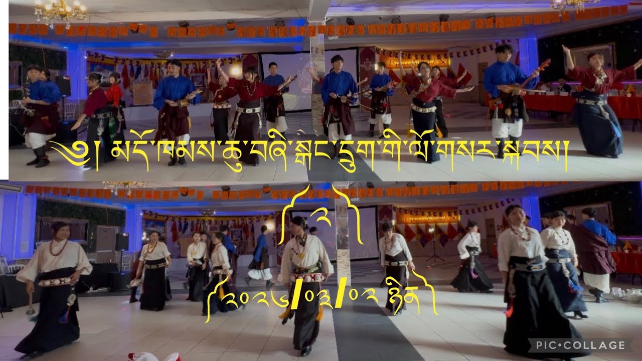 France Chushi Gangdruk 2026  Losar Celebration  Part 2  #losar #tibetanvlogger