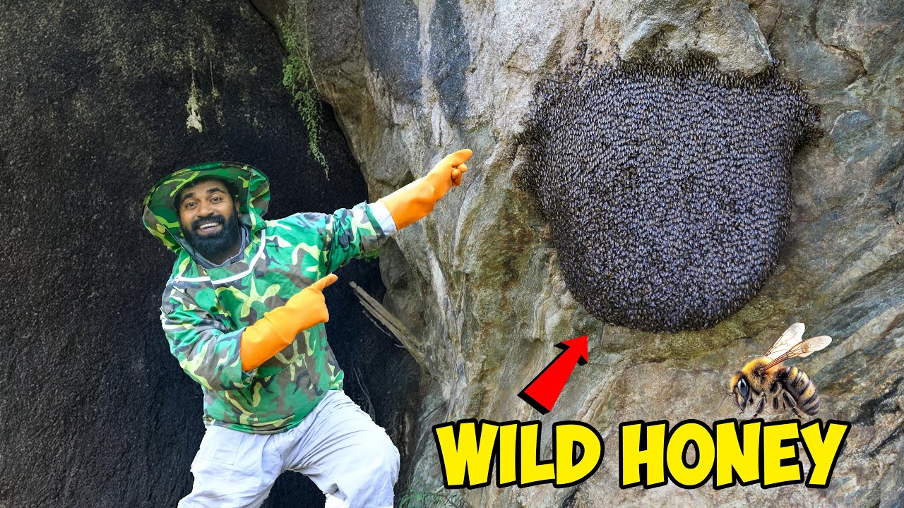 കാട്ടു തേൻ എടുക്കാൻ പോയി കുത്ത് കൊണ്ട കഥ | Honey From Forest | M4 Tech |