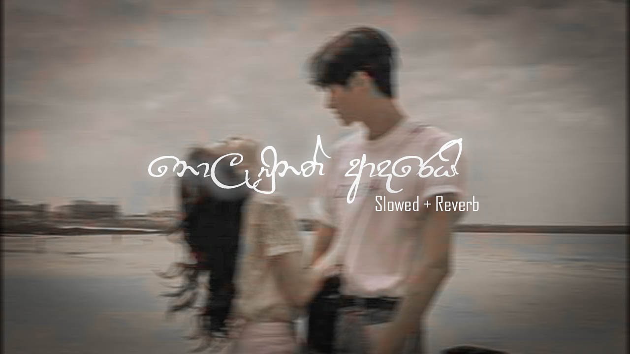 Nolabunath Adarei | නොලැබුනත් ආදරෙයි [Slowed + Reverb] | DEZTER BEATS
