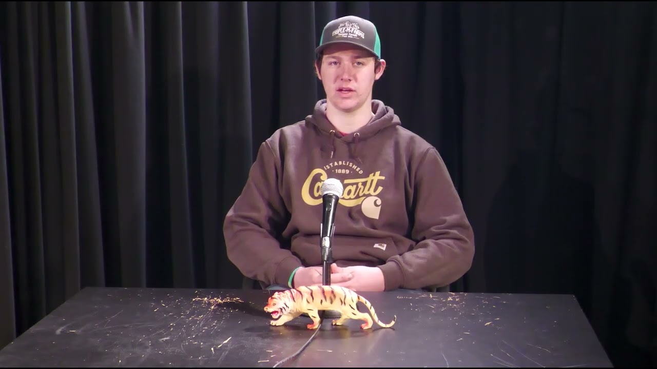 Tiger TV January 30