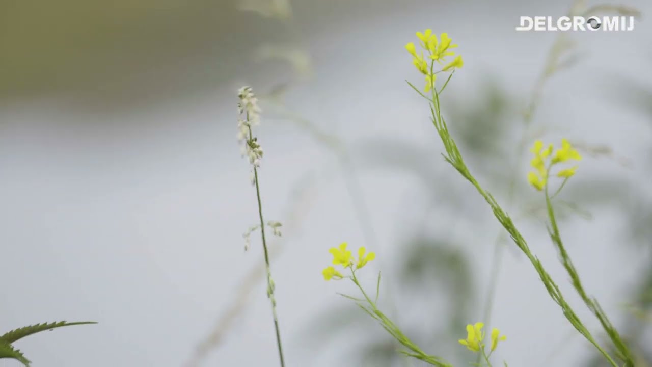 Kleiwinning is basis voor natuurontwikkeling in Sandenburgerwaard